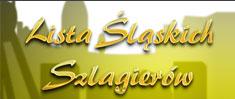 G�osuj na: To jest �l�sk tak pi�kny